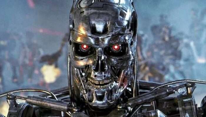 Terminator 2D no fate